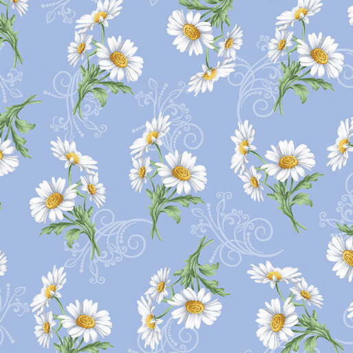 All About Daisies