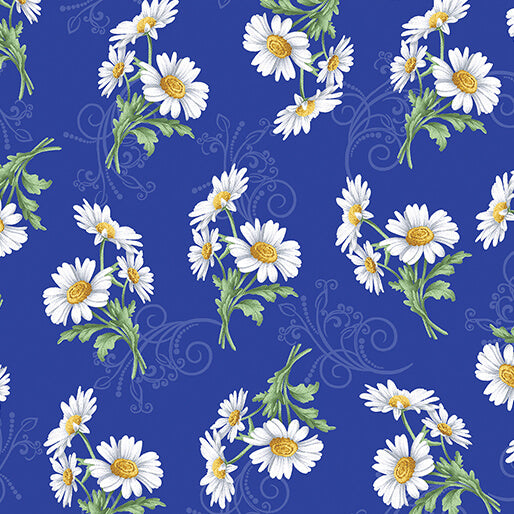 All About Daisies