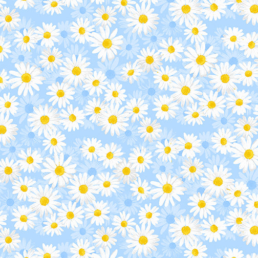 Daisies