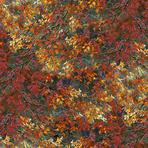 Nature Walk fabric Collection