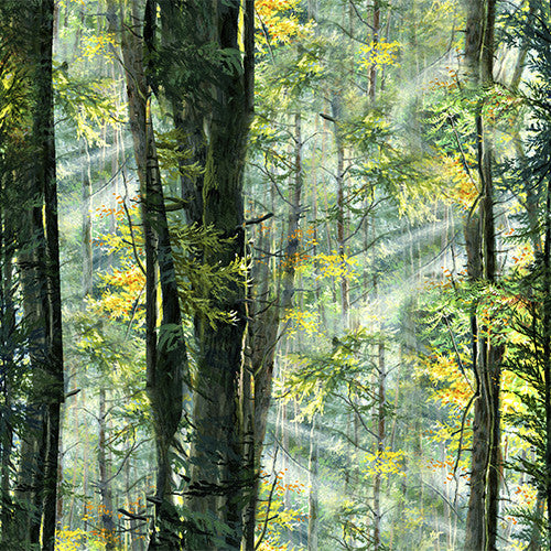 Nature Walk fabric Collection