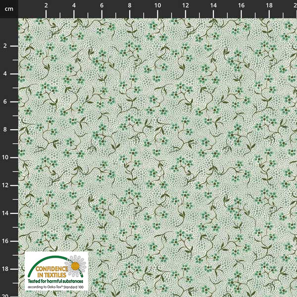 Flowers & leaves on solid background - Variety of colors