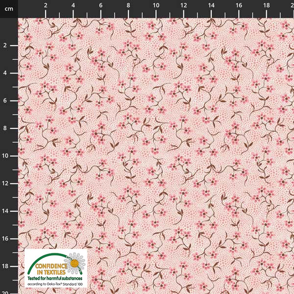 Flowers & leaves on solid background - Variety of colors