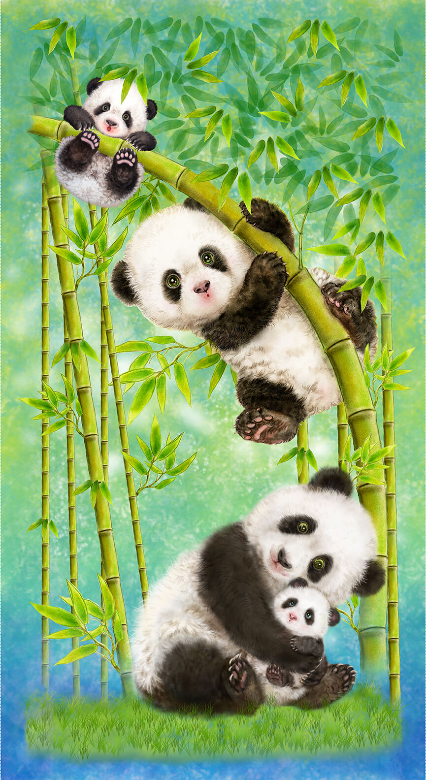 Panda bear Collection