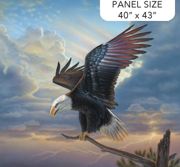 Eagle wings