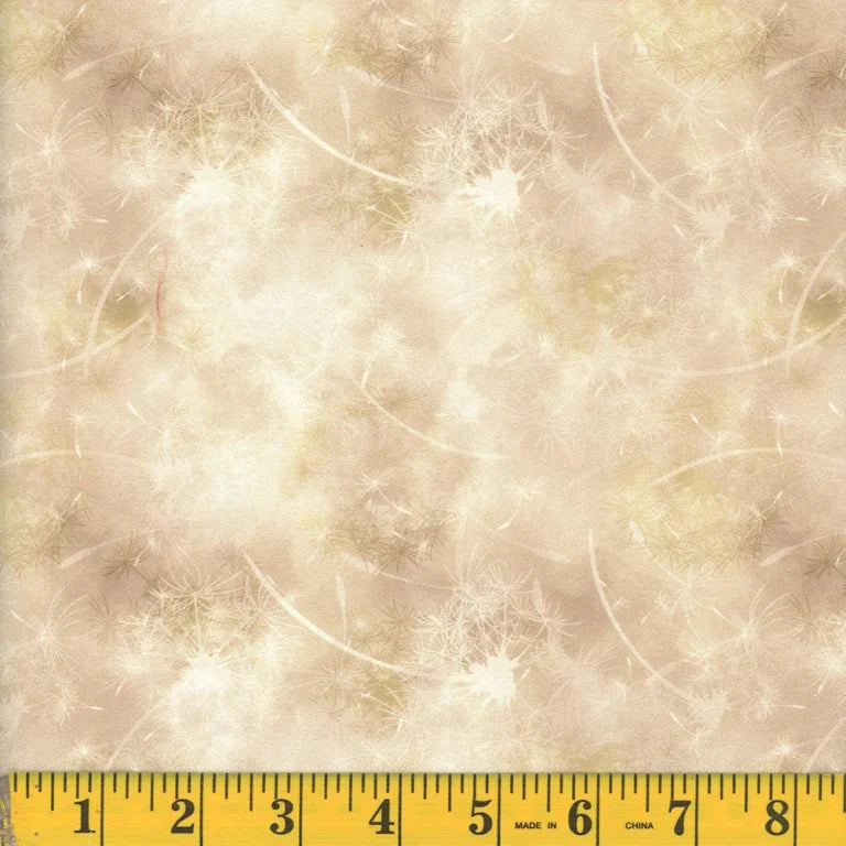 Dandelion Dreams