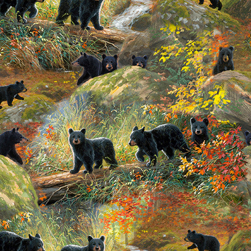 Nature Walk fabric Collection