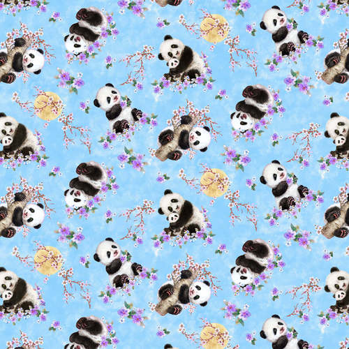 Panda bear Collection